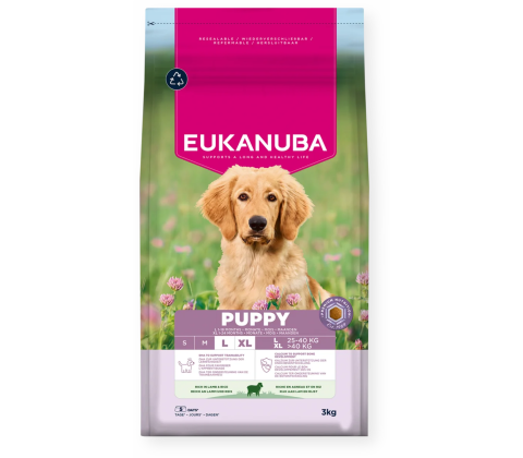 Eukanuba Puppy Large Breed Lam & Ris 12kg