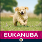 EUKANUBA Puppy Large Breed Lam & Ris 12kg