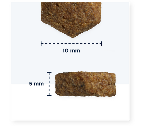 Eukanuba Puppy & Junior Small/Medium Grainfree Ocean Fish 12KG