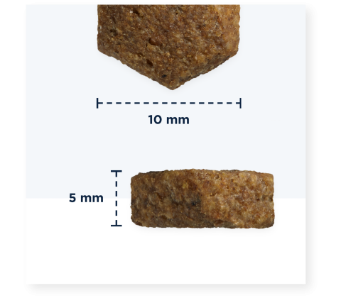 Eukanuba Puppy & Junior Small/Medium Grainfree Ocean Fish 12KG