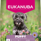 Eukanuba Puppy  Small Breed med kylling 
