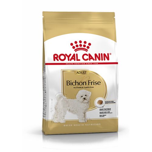 Bichon Frise 1,5kg
