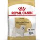 Bichon Frise 1,5kg