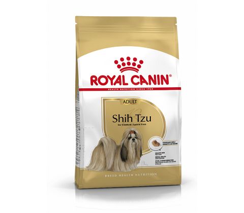 Shih Tzu Adult