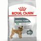 ROYAL CANIN DENTAL CARE 3 kg.