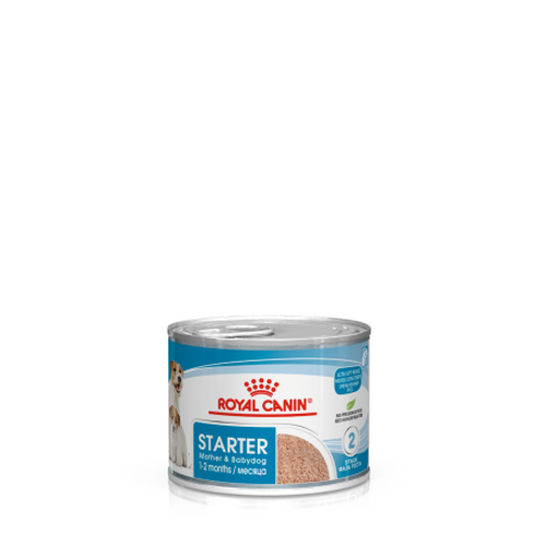 Starter Mousse 195g