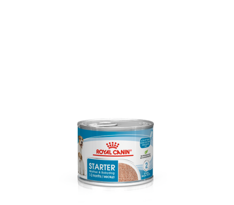 Starter Mousse 195g