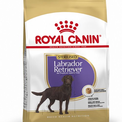 Labrador Retriever Sterillised Adult