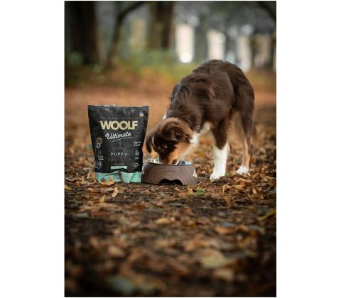 Woolf Ultimate, Puppy, 1kg