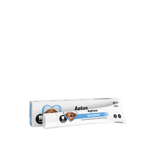 APTUS BUCADOG DENTAL GEL 70g
