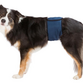 Mavebånd t. hanhunde, , M: 45–55 cm, mørk blå