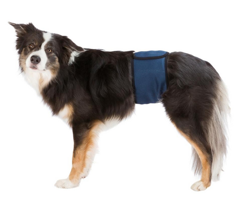 Mavebånd t. hanhunde, , M: 45–55 cm, mørk blå