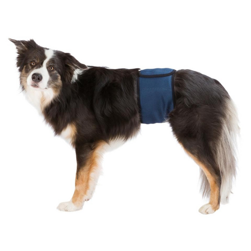 Mavebånd t. hanhunde, , M: 45–55 cm, mørk blå
