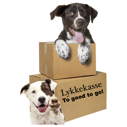 Lykkekasse/ Too good to go til hunde