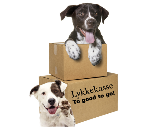 Lykkekasse/ Too good to go til hunde