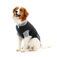 BUSTER Body Suit EasyGo 