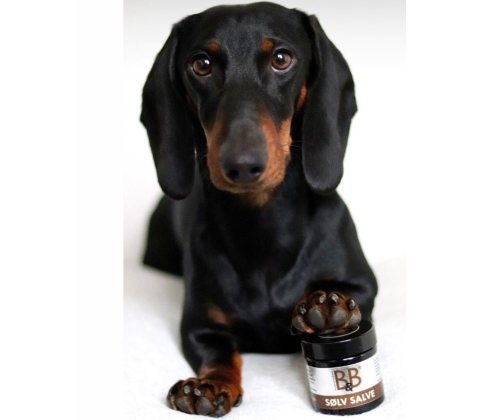 B&B Sølvsalve - 60ml.