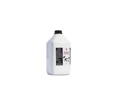 FYRA ESS B-VITAMIN 2700ML