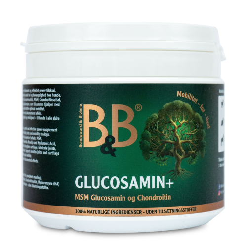 B&B Glucosamin+