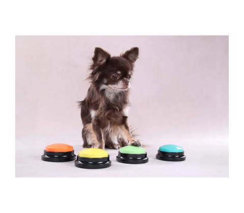 Audio command button