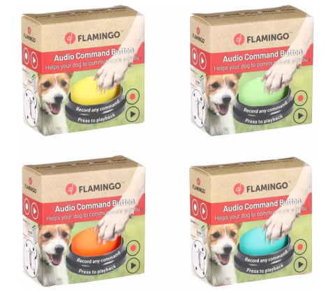 Audio command button