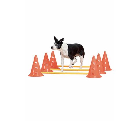 Agility træningssæt