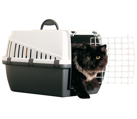 Trotter transportbur
