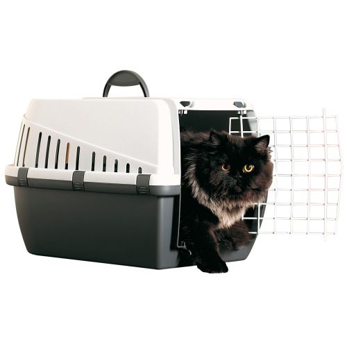 Trotter transportbur