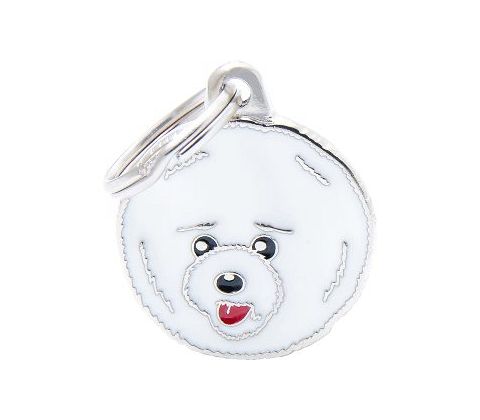 Bichon frisee