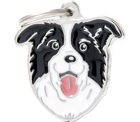 Border Collie