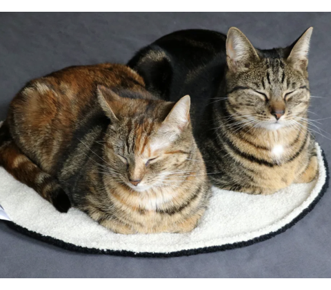 D&D CAT - MAEVE Tæppe Ø50 cm. Sort/Beige