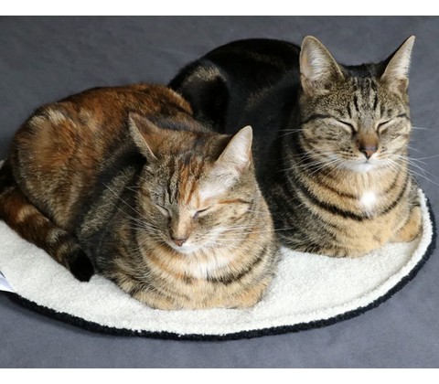 D&D CAT - MAEVE Tæppe Ø50 cm. Sort/Beige