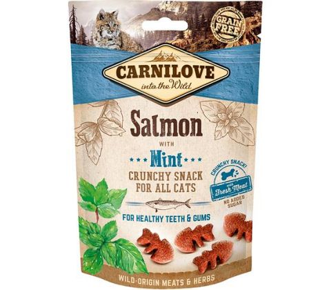 CARNILOVE SALMON 50g