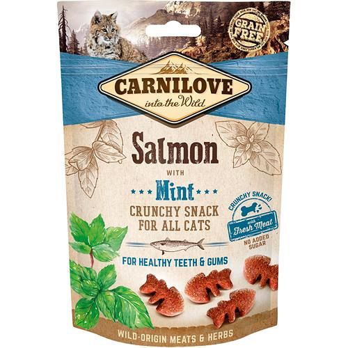 CARNILOVE SALMON 50g