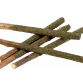 Matatabi pind med Catnip Pudder 12cm