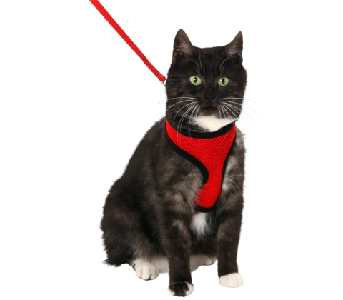 Flamingo cat harness and leash medium rød/sort