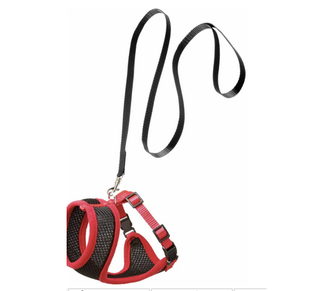 Flamingo cat harness and leash medium sort/rød
