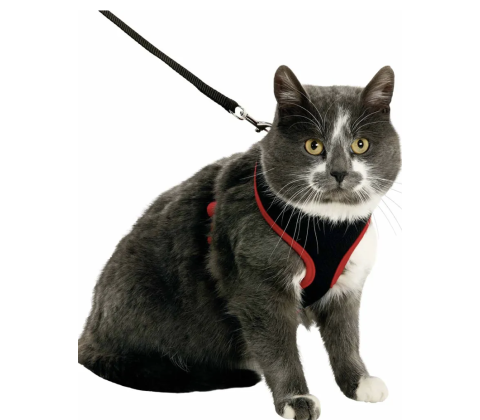 Flamingo cat harness and leash medium sort/rød