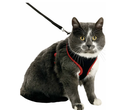 Flamingo cat harness and leash medium sort/rød