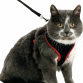 Flamingo cat harness and leash medium sort/rød
