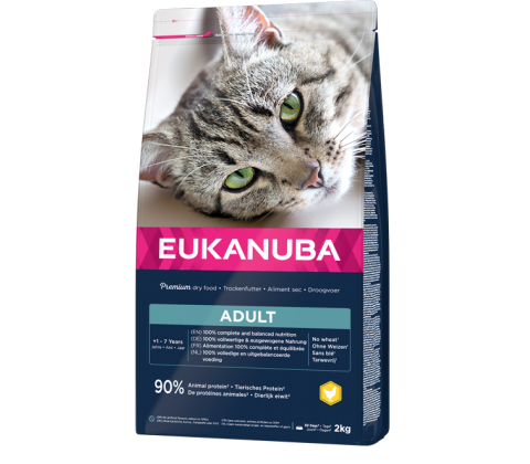 Eukanuba Ault Cat