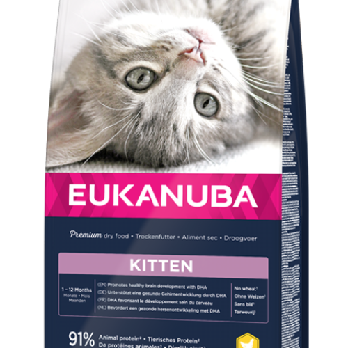 Eukanuba Kitten Healthy Start