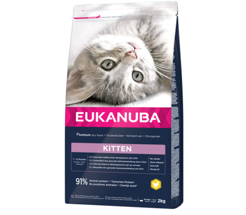 Eukanuba Kitten Healthy Start