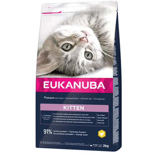Eukanuba Kitten Healthy Start
