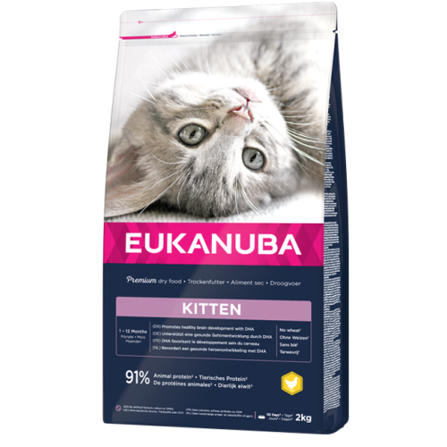 Eukanuba Kitten Healthy Start