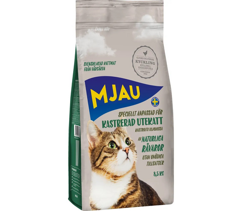 Mjau kastreret udekat 