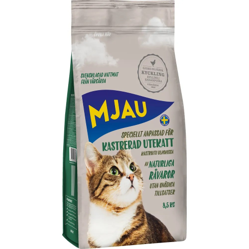 Mjau kastreret udekat 