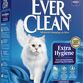 Ever Clean Extra Strength UnScented