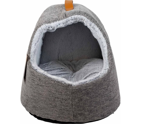 Igloo James