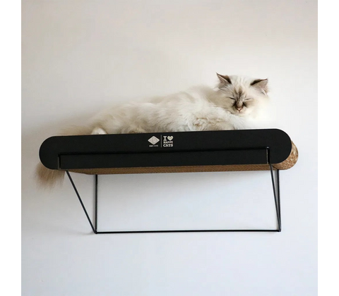 D&D CAT -DAVID L Vægmodul